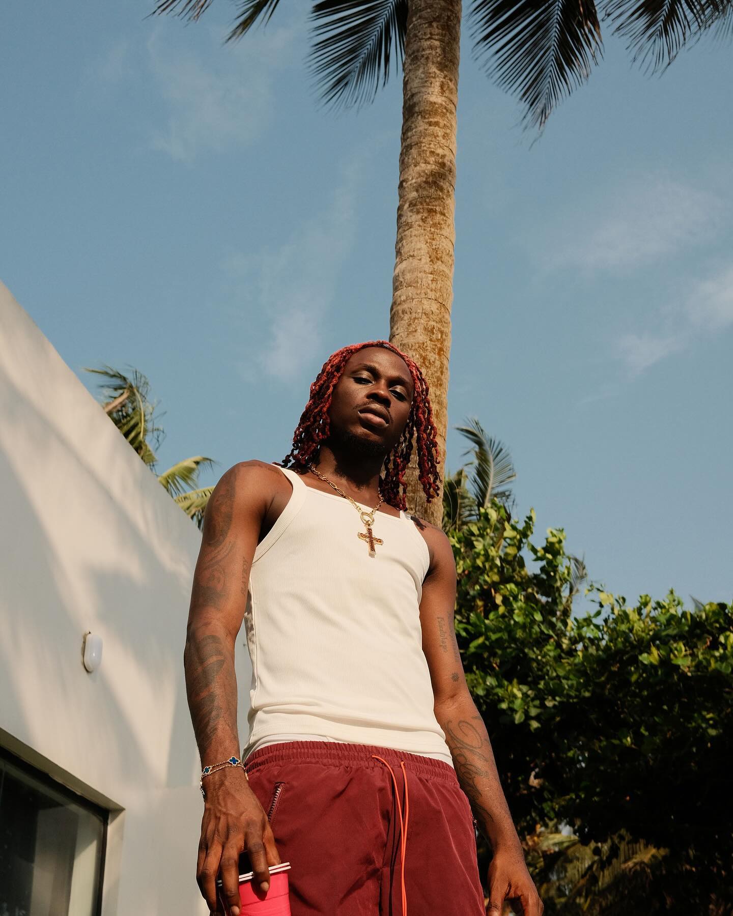 Fireboy DML