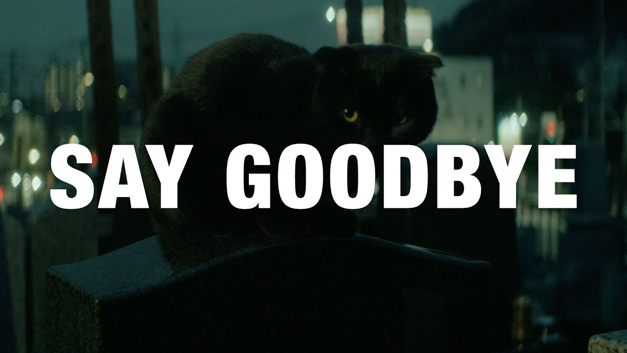Say Goodbye Lyrics