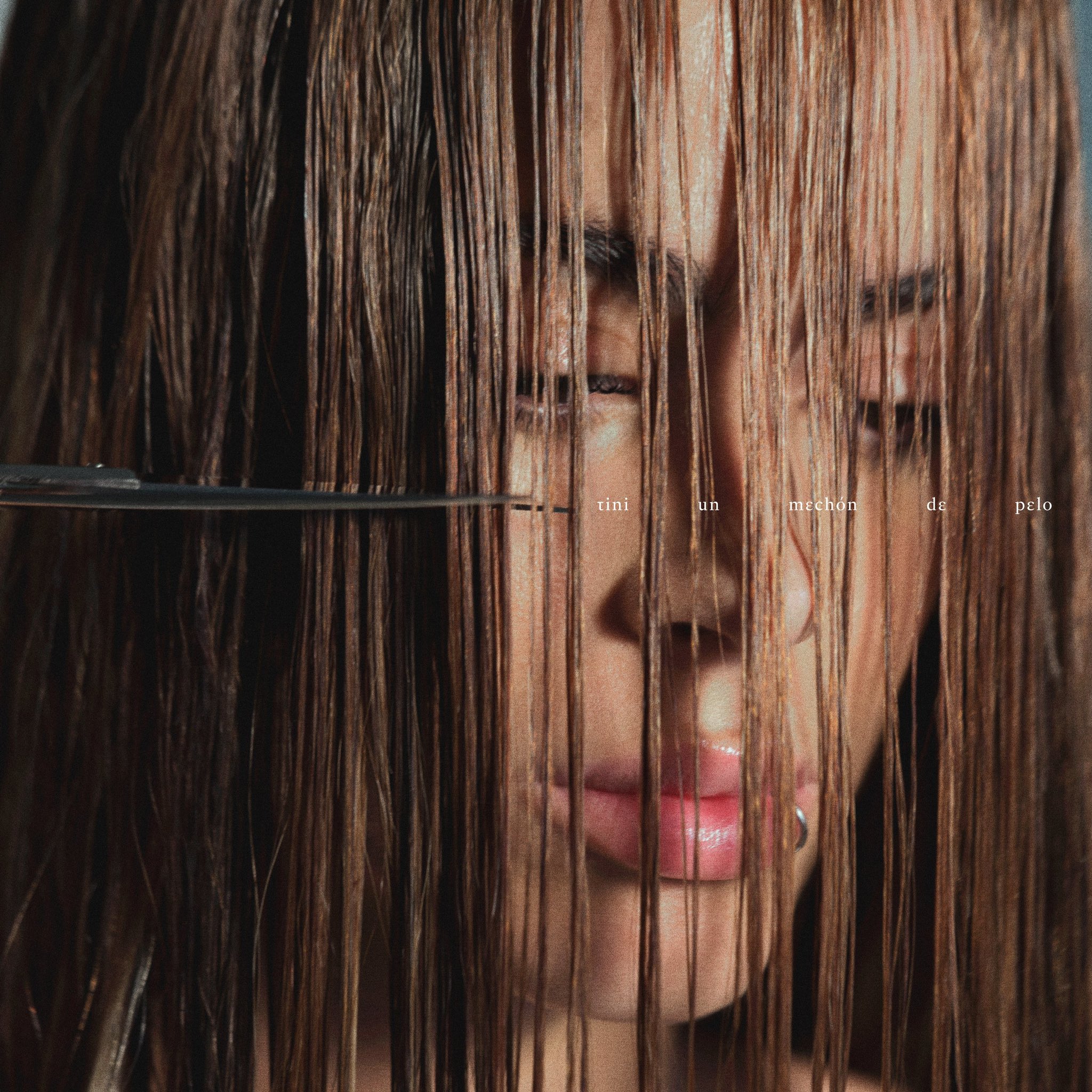 un mechón de pelo album cover